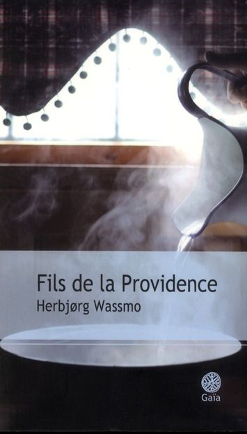 Emprunter Fils de la providence livre