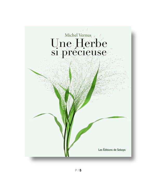 Emprunter Une herbe si précieuse livre