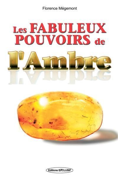 Emprunter Les fabuleux pouvoirs de l'ambre livre