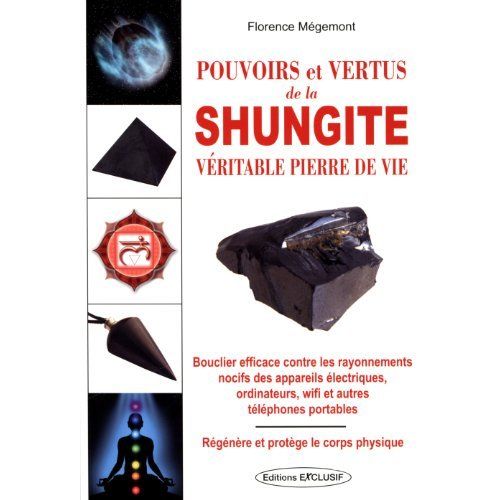 Emprunter Pouvoirs et vertus de la Shungite livre