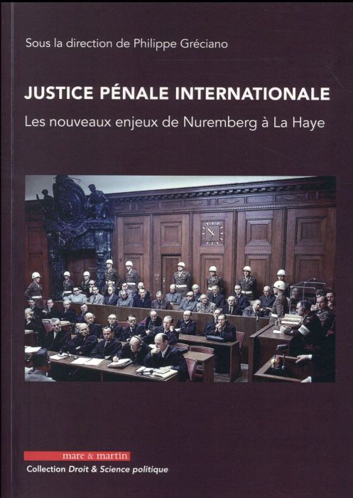 Emprunter Justice pénale internationale. Les nouveaux enjeux de Nuremberg à La Haye livre