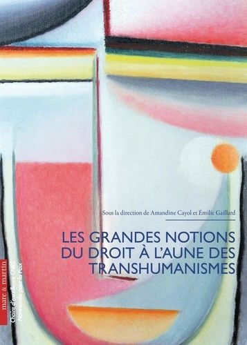 Emprunter Les grandes notions du droit à l'aune du transhumanisme livre