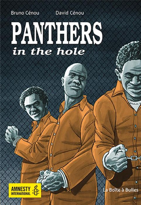 Emprunter Panthers in the hole livre