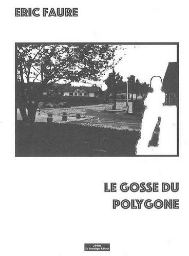 Emprunter Le gosse du polygone livre