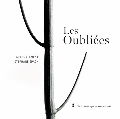 Emprunter Les Oubliées livre