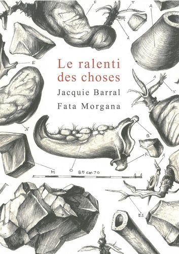 Emprunter Le ralenti des choses livre