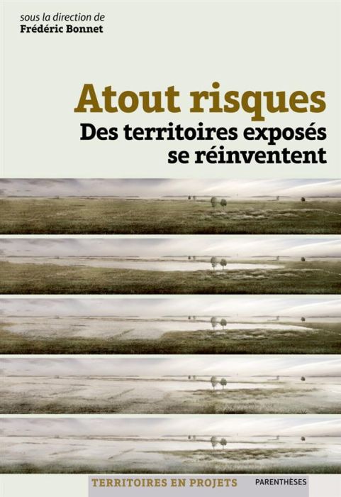 Emprunter Atout risques. Des territoires exposés se réinventent livre