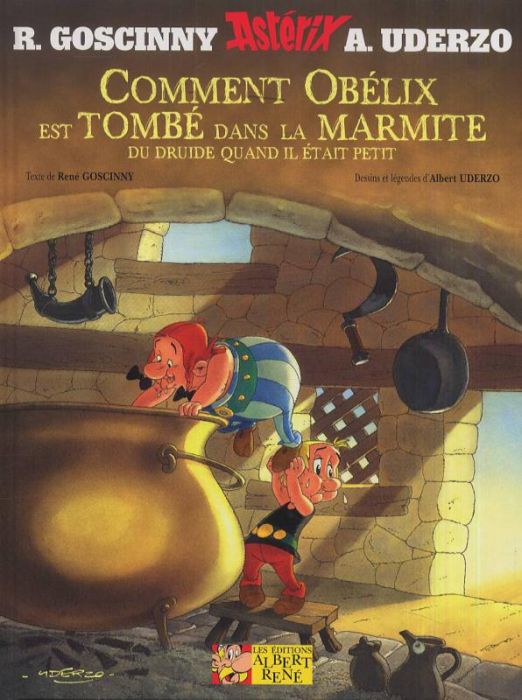 Emprunter Astérix : Comment Obélix est tombé dans la marmite du druide quand il était petit livre