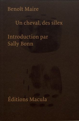 Emprunter Un cheval, des silex livre