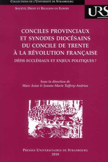 Emprunter Conciles provinciaux en synodes diocésains du concile de trante à la Révolution française. Défis ecc livre