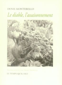 Emprunter Le diable, l'assaisonnement livre