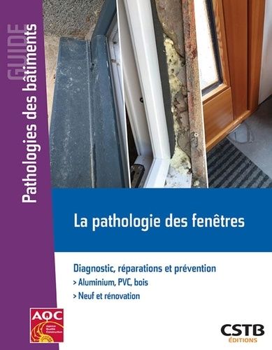 Emprunter La pathologie des fenêtres. Diagnostic, réparations et prévention livre