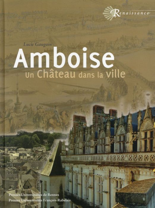 Emprunter Amboise. Un château dans la ville livre