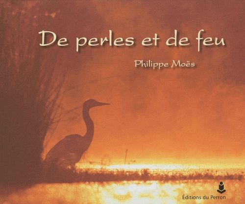 Emprunter De perles et de feu livre