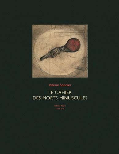 Emprunter Le cahier des morts minuscules livre