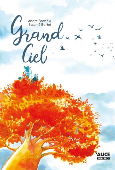 Emprunter Grand Ciel livre