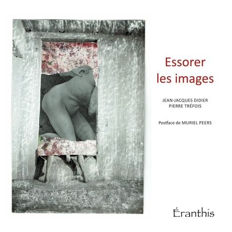 Emprunter Essorer les images livre