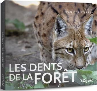 Emprunter Les dents de la forêt livre