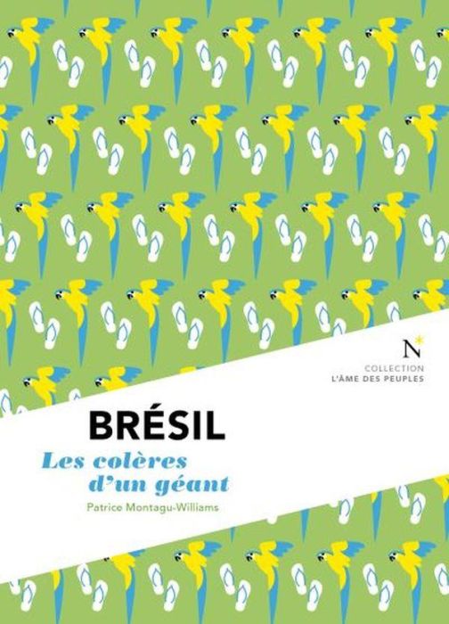 Emprunter Brésil. Les colères d'un géant livre