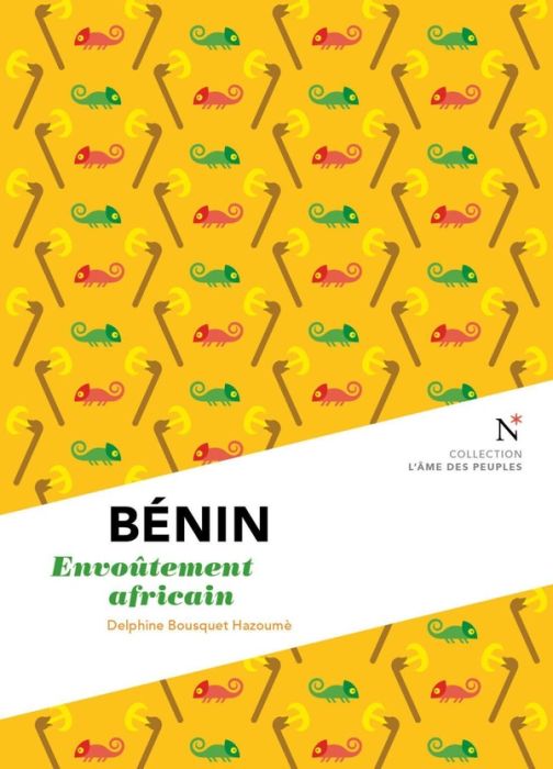 Emprunter Benin : Envoûtement africain livre