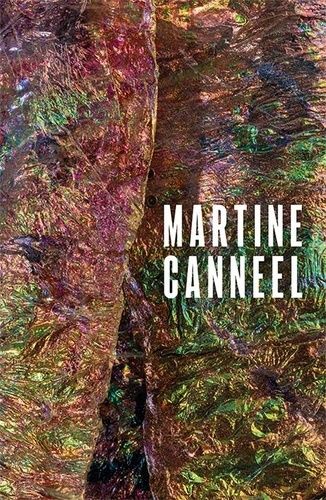 Emprunter Martine Canneel. La femme arc-en-ciel livre