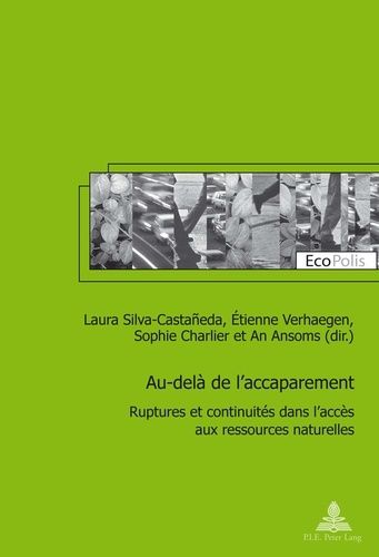 Emprunter Au-delà de l'accaparement. Ruptures et continuités dans l'accès aux ressources naturelles livre