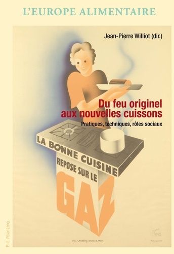 Emprunter Du feu originel aux nouvelles cuissons. Pratiques, techniques, rôles sociaux livre