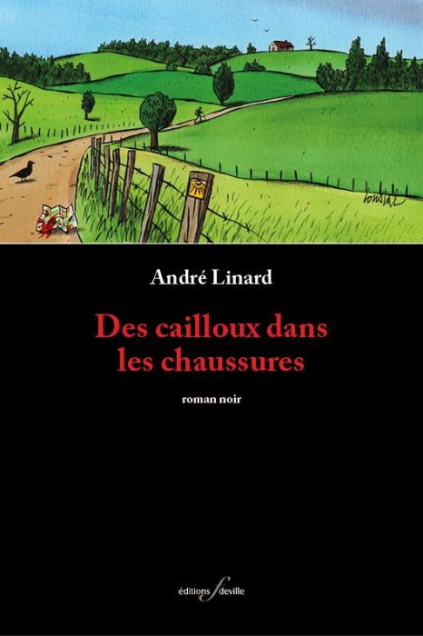 Emprunter Des cailloux dans les chaussures livre