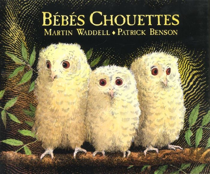 Emprunter Bébés chouettes livre