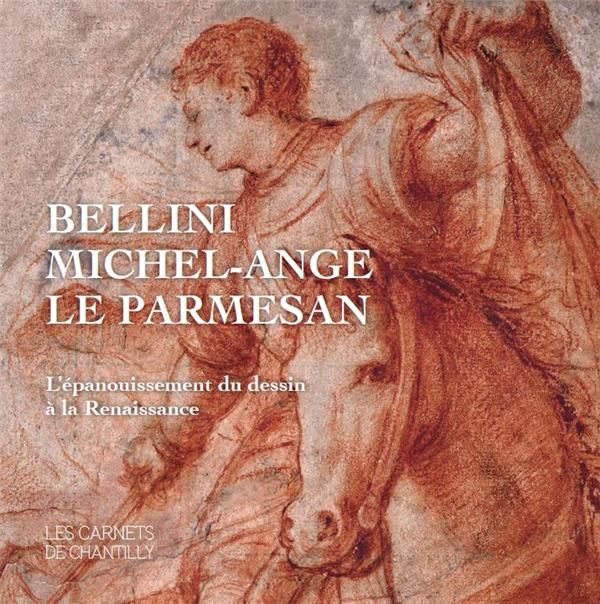 Emprunter Bellini, Michel-Ange, Le Parmesan. L'épanouissement du dessin à la Renaissance livre