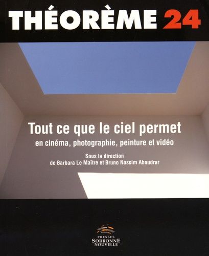 Emprunter Tout ce que le ciel permet en cinéma, photographie, peinture et vidéo livre