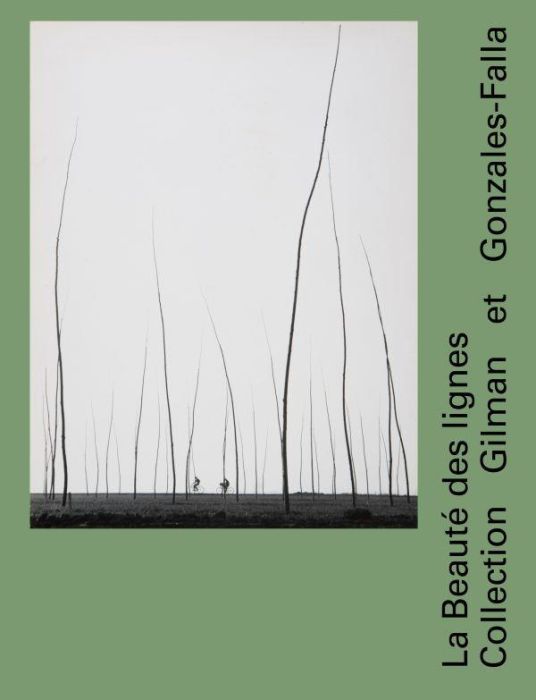 Emprunter La beauté des lignes. Collection Gilman et Gonzalez-Falla livre