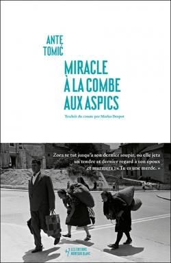 Emprunter Miracle à la Combe aux Aspics livre