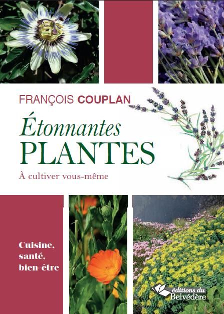 Emprunter Etonnantes plantes à cultiver vous-même. Cuisine, santé, bien-être livre