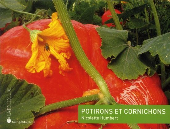 Emprunter Potirons et cornichons livre