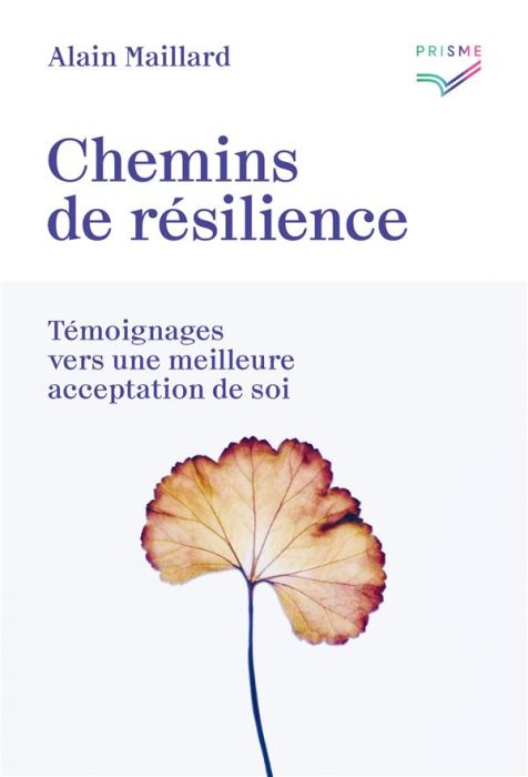 Emprunter Chemins de résilience. Témoignages vers une meilleure acceptation de soi livre