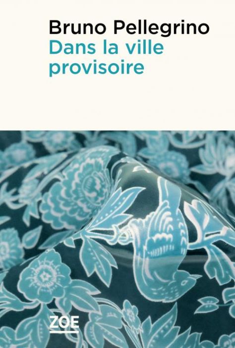 Emprunter Dans la ville provisoire livre