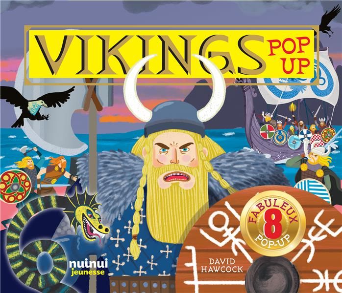 Emprunter Vikings pop-up livre