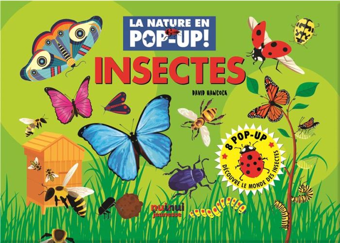 Emprunter Insectes livre