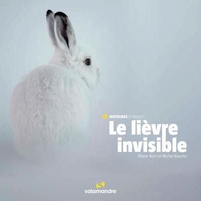 Emprunter Le lièvre invisible livre