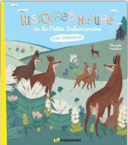 Emprunter Histoires nature de la Petite Salamandre pour s'émerveiller livre