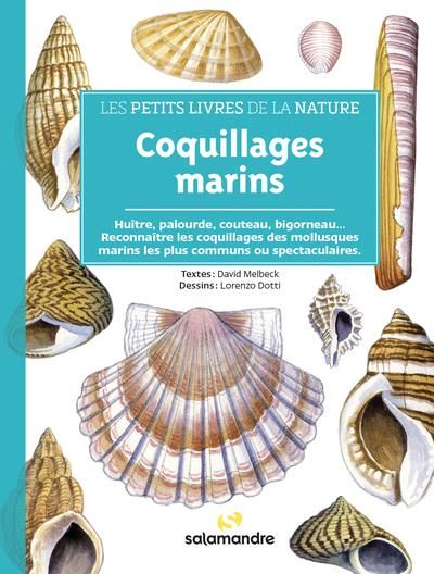 Emprunter Coquillages marins livre