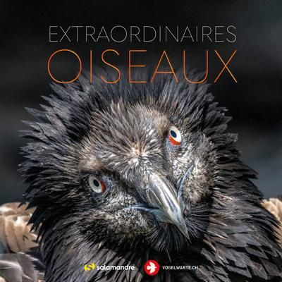 Emprunter Extraordinaires oiseaux livre