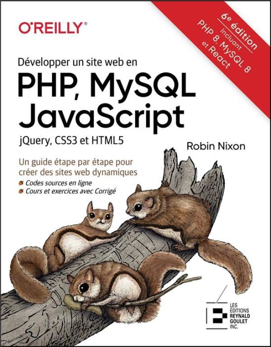 Emprunter Développer un site web en PHP, MySQL, JavaScript. jQuery, CSS3 et HTML5, 6e édition livre