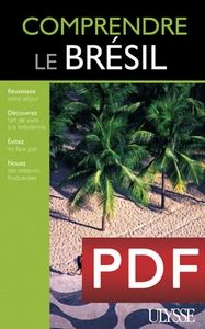 Emprunter Comprendre le Brésil livre