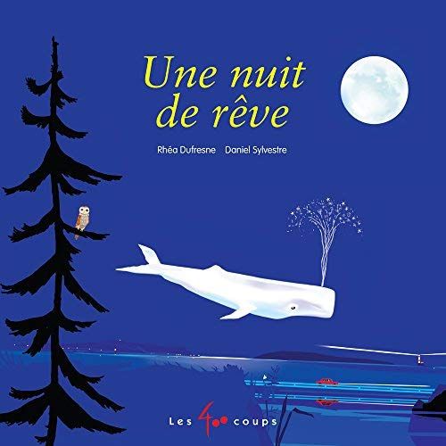 Emprunter Une nuit de rêve livre