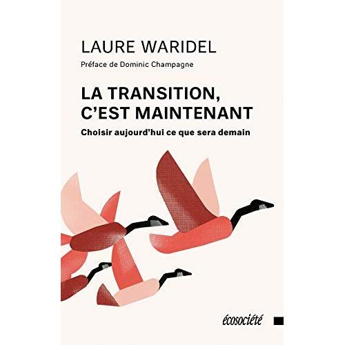 Emprunter La transition, c'est maintenant livre