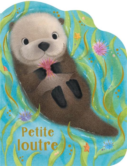 Emprunter Petite loutre livre