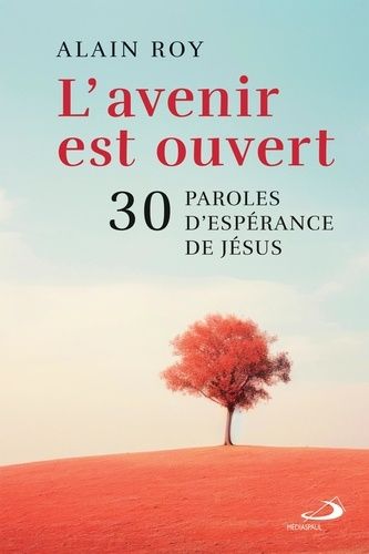 Emprunter Avenir est ouvert (l'). 30 PAROLES D'ESPÉRANCE DE JÉSUS livre