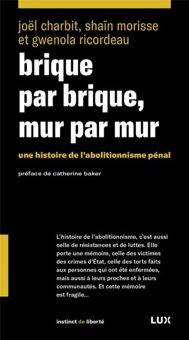 Emprunter Brique par brique, mur par mur. Une histoire de l'abolationnisme pénal livre